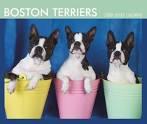 Boston Terriers 2008 Boxed Calendar