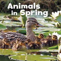 Animals in Spring (Little Pebble: Celebrate Spring)