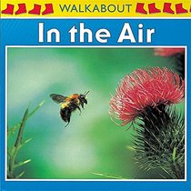 In the Air (Walkabouts)