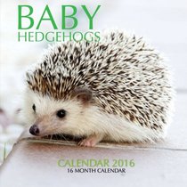 Baby Hedgehogs Calendar 2016: 16 Month Calendar