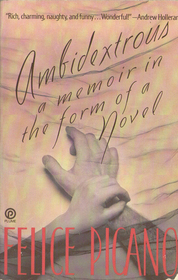 Ambidextrous: The Secret Lives of Children : A Memoir in the Form of a Novel