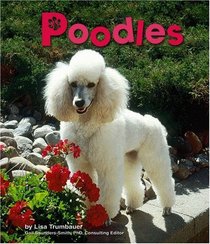 Poodles (Pebble Books)