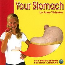 Your Stomach (Your Body)