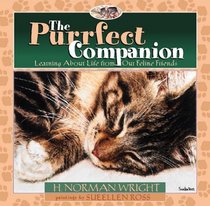 The Purrfect Companion: Learning About Life from Our Feline Friends