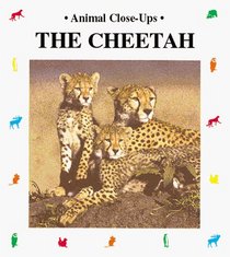 The Cheetah (Animal Close-Ups)