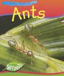 Ants (Creepy Creatures)