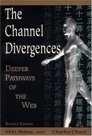 The Channel Divergences: Deeper Pathways of the Web