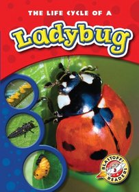 The Life Cycle of a Ladybug (Paperback) (Blastoff! Readers: Life Cycles)