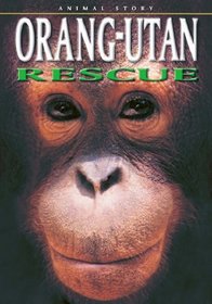 Orang-utan Rescue (Animal Story)