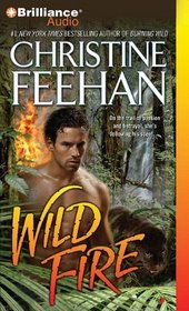 Wild Fire (Leopard, Bk 4) (Audio CD) (Abridged)