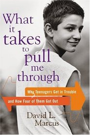 What It Takes To Pull Me Through : Why Teenagers Get in Trouble and How Four of Them Got Out