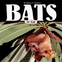 Bats for Kids (Wildlife for Kids Series)