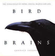 Bird Brains: Intelligence of Crows, Ravens, Magpies and Jays