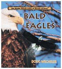 Bald Eagles (Really Wild Life of Birds of Prey)
