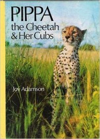 Pippa the cheetah and her cubs