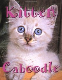 Kitten Caboodle (Tiny Tomes)