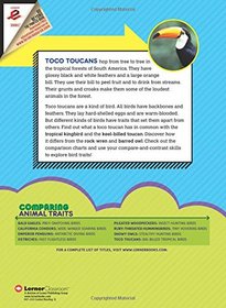 Toco Toucans: Big-Billed Tropical Birds (Comparing Animal Traits)