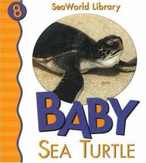 Baby Sea Turtle (Seaworld Library)