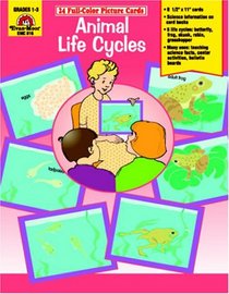Animal Life Cycles (Science Picture Cards)