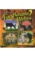 What Are Food Chains and Webs? (Science of Living Things)