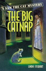 The Big Catnap (Sam the Cat, Bk 2)