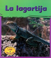 La Lagartija/lizards (Mi Gran Jardin / My Big Backyard)