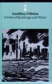 A View of Buildings and Water (Salt Modern Poets)
