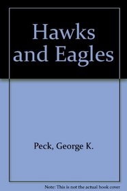 Hawks & Eagles