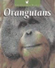 Orangutans (The Untamed World)