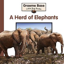 Herd of Elephants (Little Bug Books)