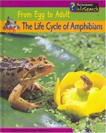 The Life Cycle of Amphibians (From Egg to Adult)