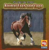 Animal Feet And Legs (Why Animals Look Different)