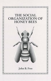 The Social Organization of the Honey Bee
