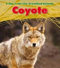 Coyote (Day in the Life Grassland Anim)