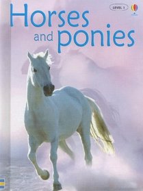Horses & Ponies (Usborne Beginners)