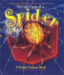 Life Cycle of a Spider (Life Cycle of A...)
