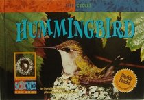 Hummingbird (Life Cycles)