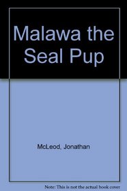 Malawa the Seal Pup