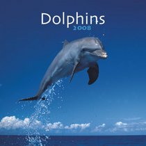 Dolphins 2008 Square Wall Calendar