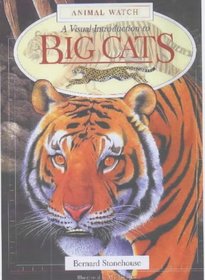 A Visual Introduction to Big Cats (Animal Watch)