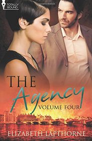 The Agency, Vol 4: Burning Intensity / Icy Control