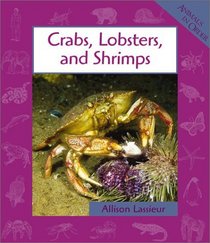 Crabs, Lobsters, and Shrimps (Animals in Order)