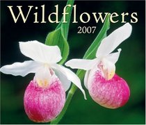 Wildflowers 2007 (Calendar)