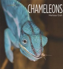 Chameleons (Living Wild)