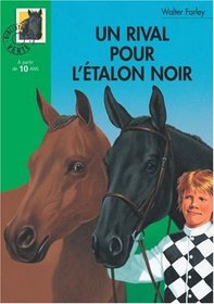 Un rival pour l'Etalon noir (The Black Stallion Challenged) (Black Stallion, Bk 16) (French Edition)