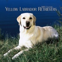 Yellow Labrador Retrievers 2005 Mini Wall Calendar