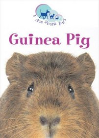 Guinea Pig (I Am Your Pet)