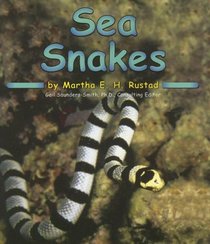 Sea Snakes (Ocean Life)