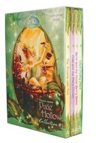 Tales From Pixie Hollow 4 copy Box Set (Disney Fairies)(Trouble for Tink, Lily's Pesky Plant, Vidia and the Fairy Crown, Beck and the Great Berry Battle)