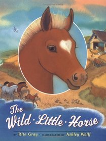 The Wild Little Horse